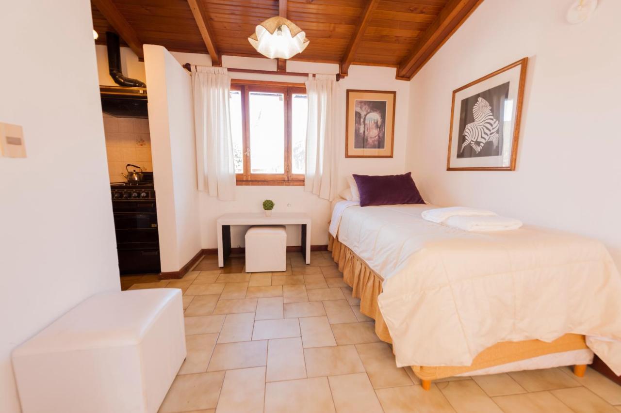 شقة Depto Centrico Vistas 360 San Martín de los Andes المظهر الخارجي الصورة