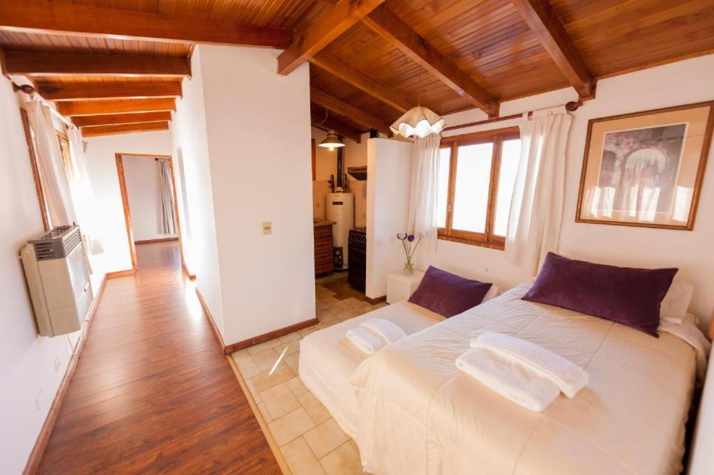 شقة Depto Centrico Vistas 360 San Martín de los Andes المظهر الخارجي الصورة